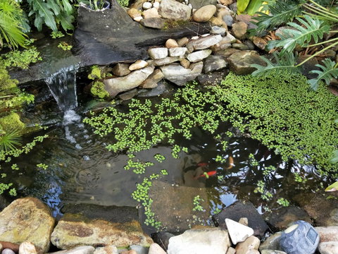 Waterfront Theme Park Getaway - Accommodation Daintree 26