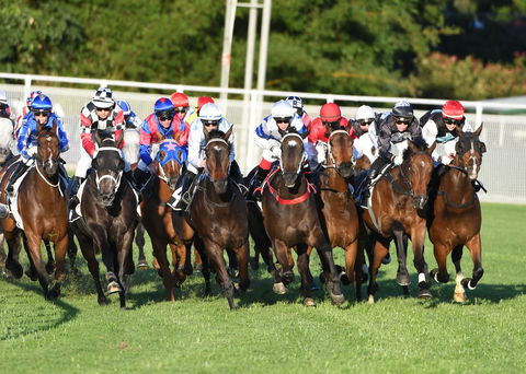 Best Western Airport 85 Motel - Accommodation Daintree 10