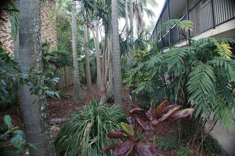 Best Western Airport 85 Motel - Accommodation Daintree 34