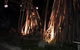 Pandanus Coolum Beach - thumb 10