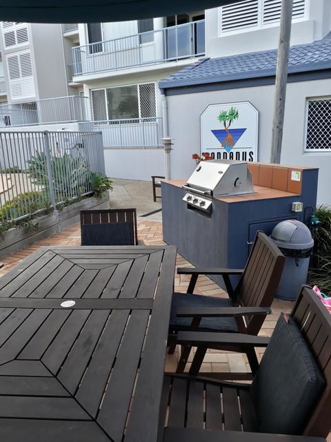 Pandanus Coolum Beach - Accommodation Daintree 1
