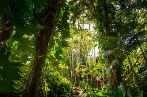 Cairns Colonial Club Resort - Accommodation Daintree 22