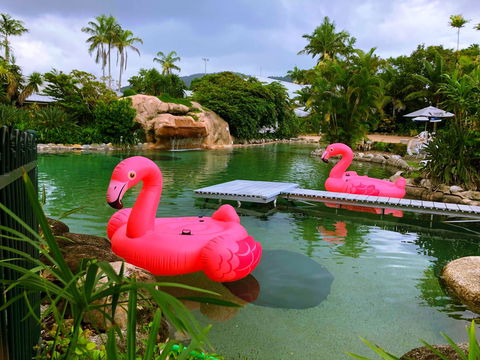 Cairns Colonial Club Resort - Accommodation Daintree 6