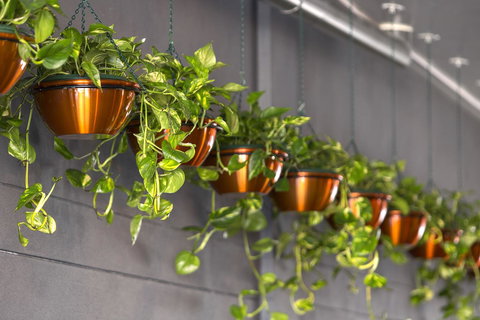 Hotel Grand Chancellor Brisbane - Accommodation Daintree 13