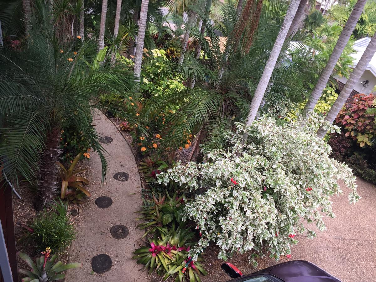 Taranganba QLD Accommodation Daintree