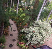 Casuarina - Accommodation Daintree