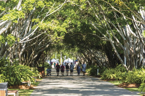 Hides Hotel - Accommodation Daintree 35