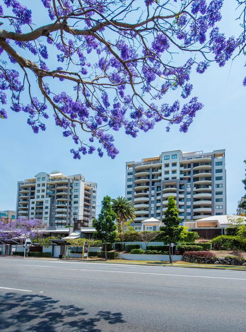 The Oasis Apartments - Accommodation Daintree 2