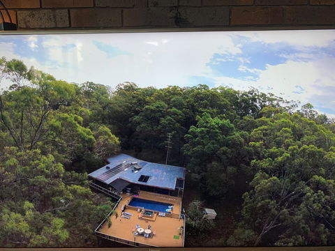 Where The Forest Meets The Sea On The Gold Coast - Accommodation Daintree 1