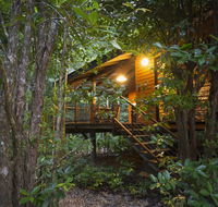 Wildwood - Accommodation Daintree