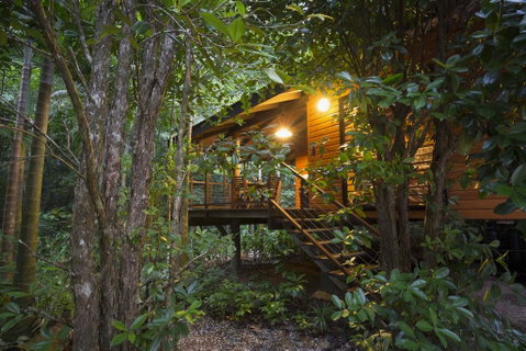 Wildwood - Accommodation Daintree 0