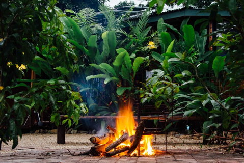 Wildwood - Accommodation Daintree 2