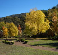 Willowlake Cottages - Accommodation Daintree