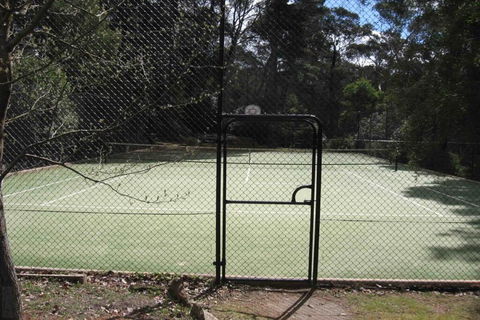 Wimbeldon - Accommodation Daintree 1
