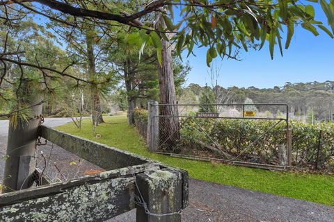 WINDARRI - Accommodation Daintree 0