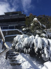 Book Thredbo Accommodation Vacations Accommodation Daintree Accommodation Daintree
