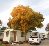 Wodonga Caravan  Cabin Park - Accommodation Daintree