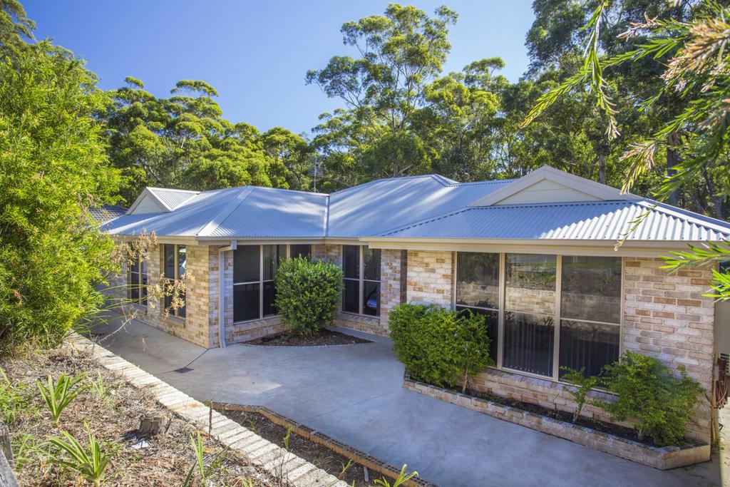 Pointer Mountain NSW Accommodation Daintree