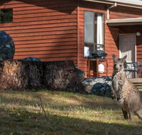Wonderland Cottages - Accommodation Daintree