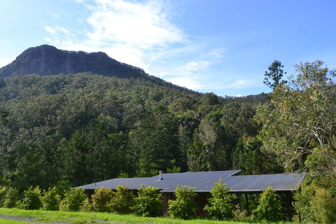 Wongari Eco Retreat - Accommodation Daintree 1