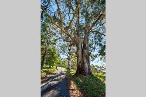 WOOLWAY - Accommodation Daintree 1