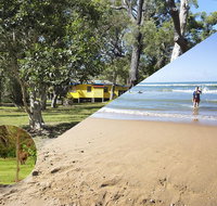 Yellow Cottage - bush and beach - Accommodation Daintree