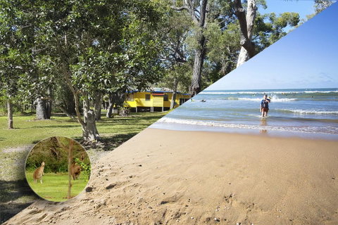 Yellow Cottage - Bush And Beach - Accommodation Daintree 0