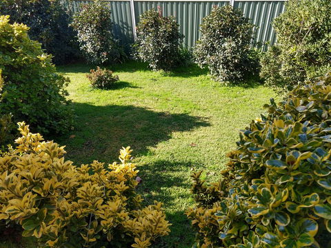 Young Goldrush Motel - Accommodation Daintree 3