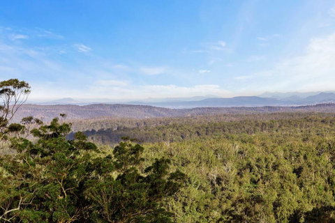 Affinity Luxury Studio With Spa And Amazing Views - Accommodation Daintree 3