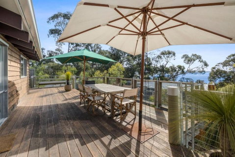 Albert - Accommodation Daintree 0