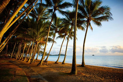 Alamanda Palm Cove By Lancemore - Accommodation Daintree 3