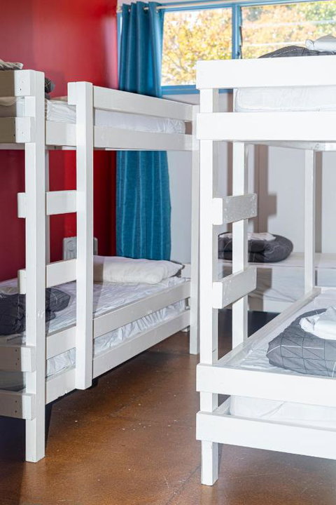 Apollo Bay Backpackers - Accommodation Daintree 3
