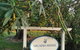 Arcadia House - thumb 4
