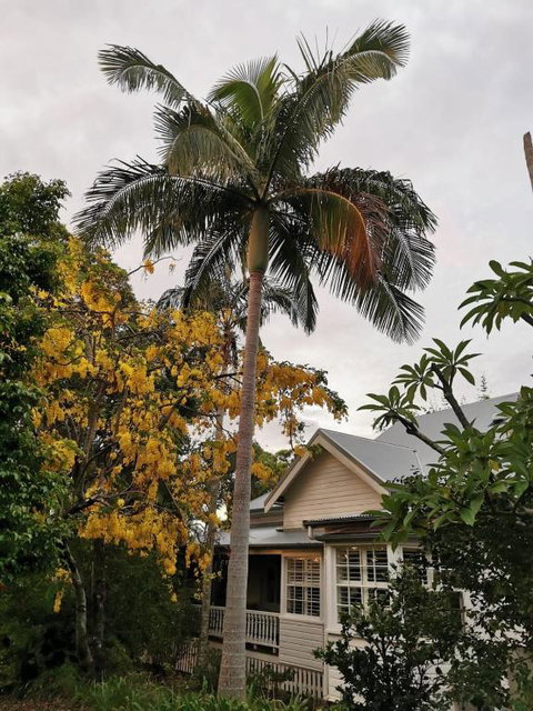 Arcadia House - Accommodation Daintree 3