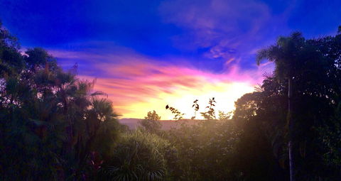 Daintree Manor B&B - Accommodation Daintree 3