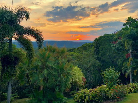 Daintree Manor B&B - Accommodation Daintree 13