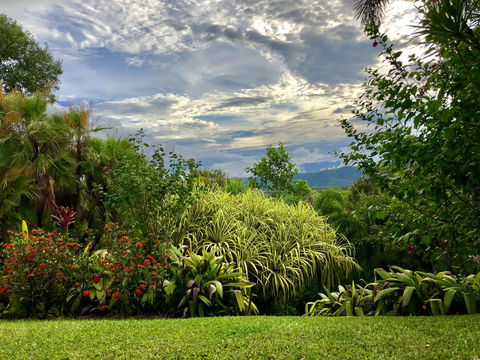Daintree Manor B&B - Accommodation Daintree 2