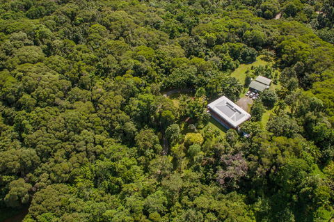 Daintree Manor B&B - Accommodation Daintree 14