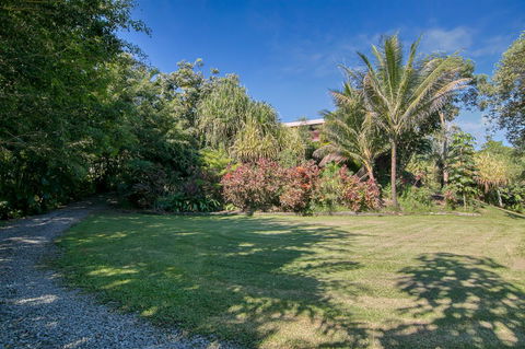 Daintree Manor B&B - Accommodation Daintree 19