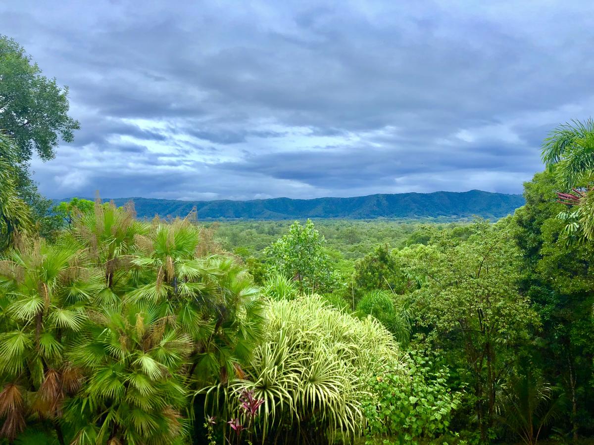 Daintree Manor B&B