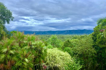 Daintree Manor B&B with Accommodation Daintree