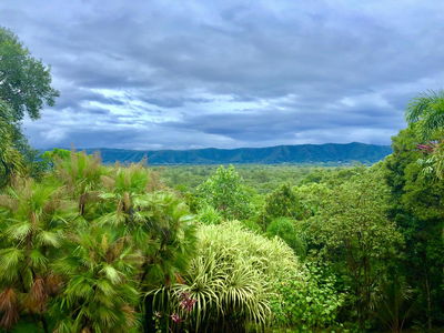 Daintree Manor B&B