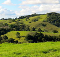 Maleny Springs Farm - Accommodation Daintree