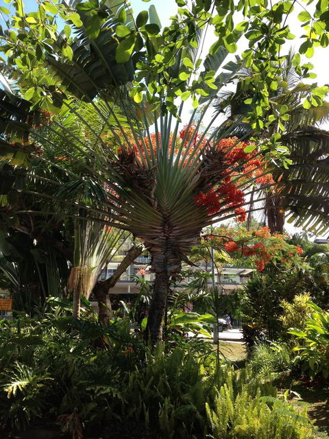 Port Douglas Apartments - Adults Only Oasis - Accommodation Daintree 39