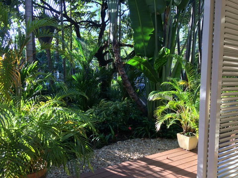 Port Douglas Apartments - Adults Only Oasis - Accommodation Daintree 2