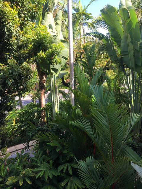 Port Douglas Apartments - Adults Only Oasis - Accommodation Daintree 1