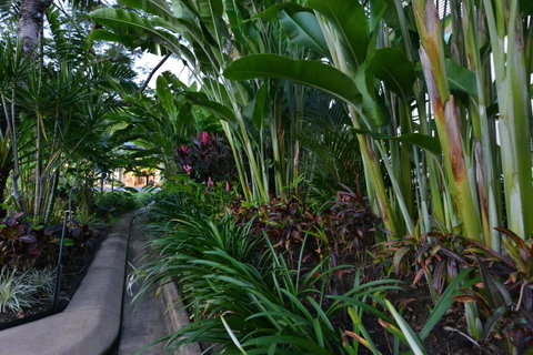 Port Douglas Apartments - Adults Only Oasis - Accommodation Daintree 9