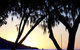 Maggies Beachfront Apartment 10 - thumb 2