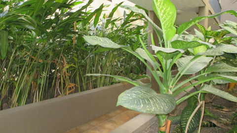 Edge Apartments Cairns - Accommodation Daintree 39