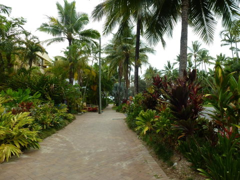 Martinique On Macrossan - Accommodation Daintree 22